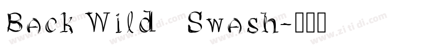 Back Wild   Swash字体转换